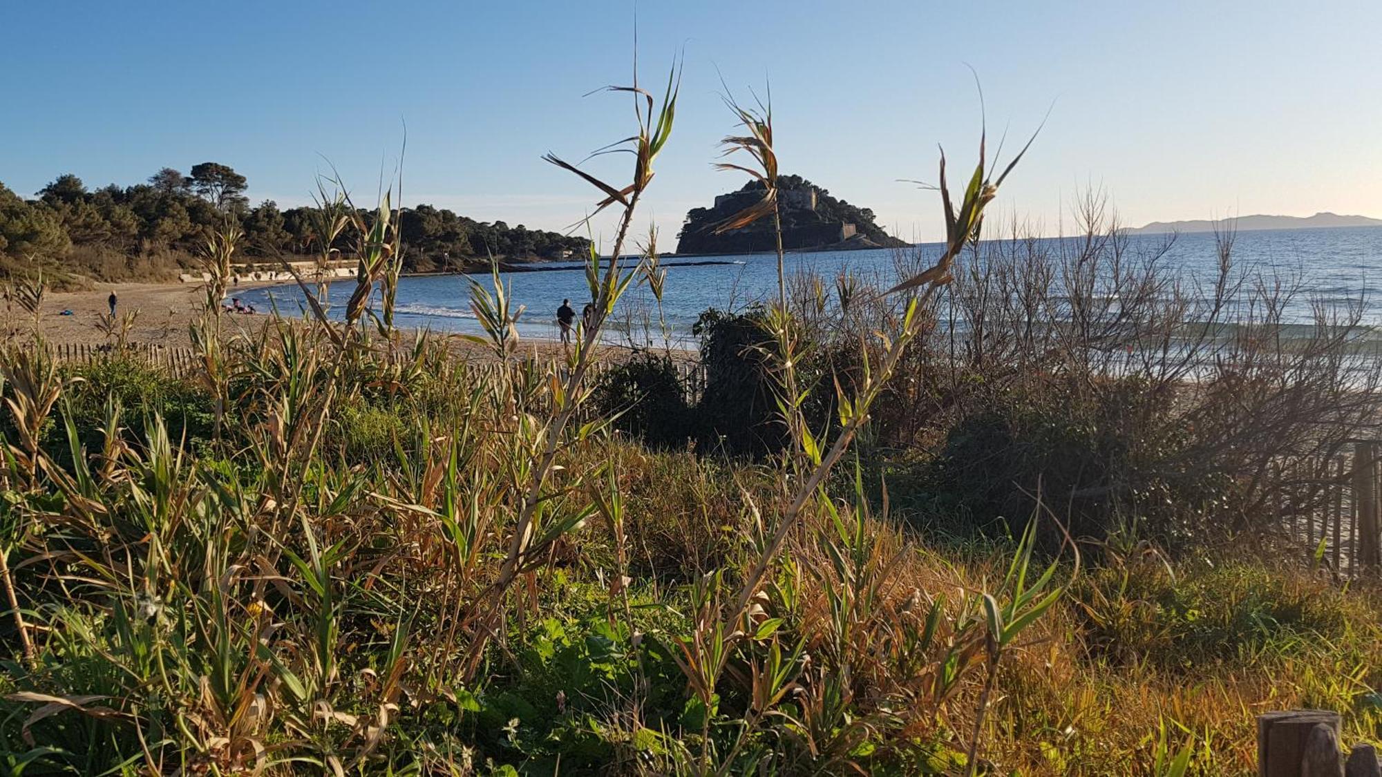 Апартаменти Rez De Jardin T3 Recent Et Calme Au Nouvelles Terres A La Londe Les Maures Екстер'єр фото