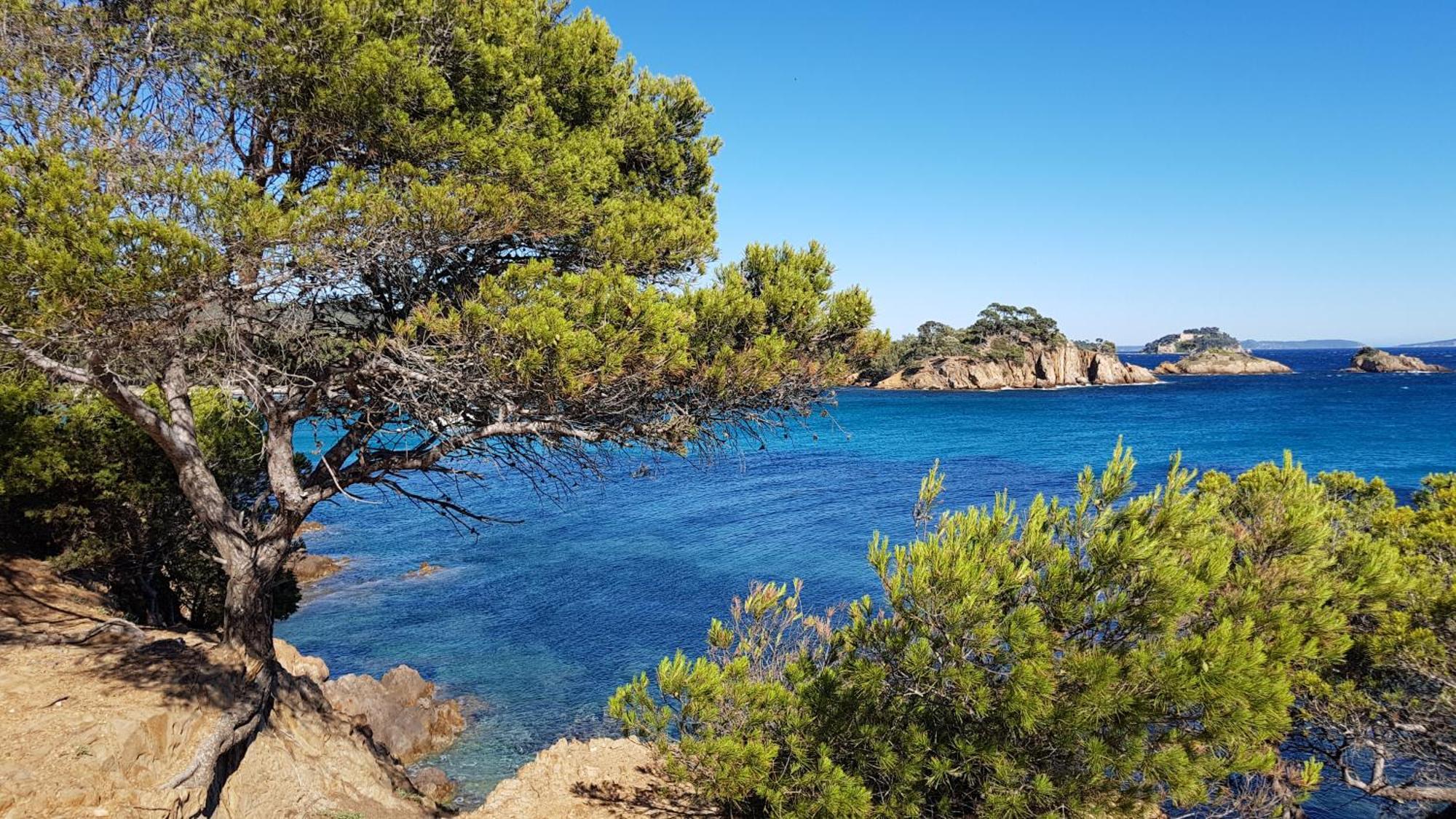 Апартаменти Rez De Jardin T3 Recent Et Calme Au Nouvelles Terres A La Londe Les Maures Екстер'єр фото