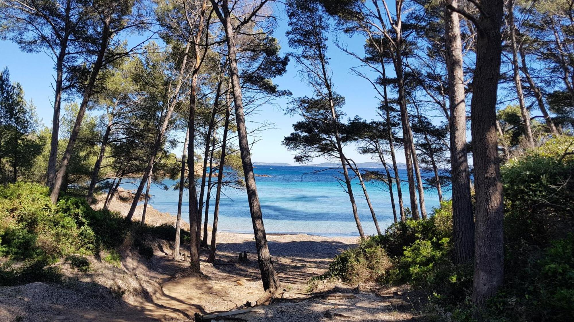 Апартаменти Rez De Jardin T3 Recent Et Calme Au Nouvelles Terres A La Londe Les Maures Екстер'єр фото