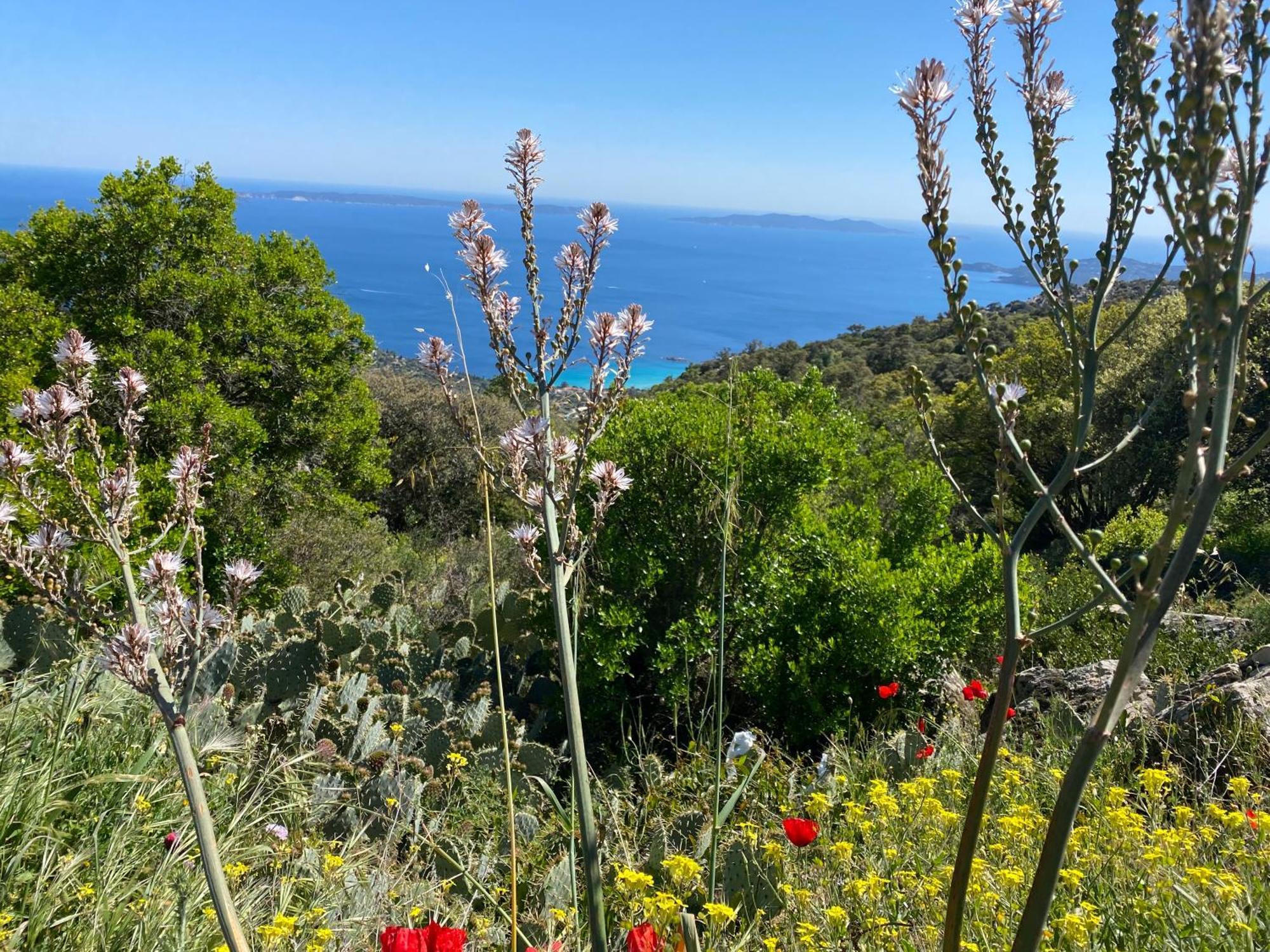 Апартаменти Rez De Jardin T3 Recent Et Calme Au Nouvelles Terres A La Londe Les Maures Екстер'єр фото