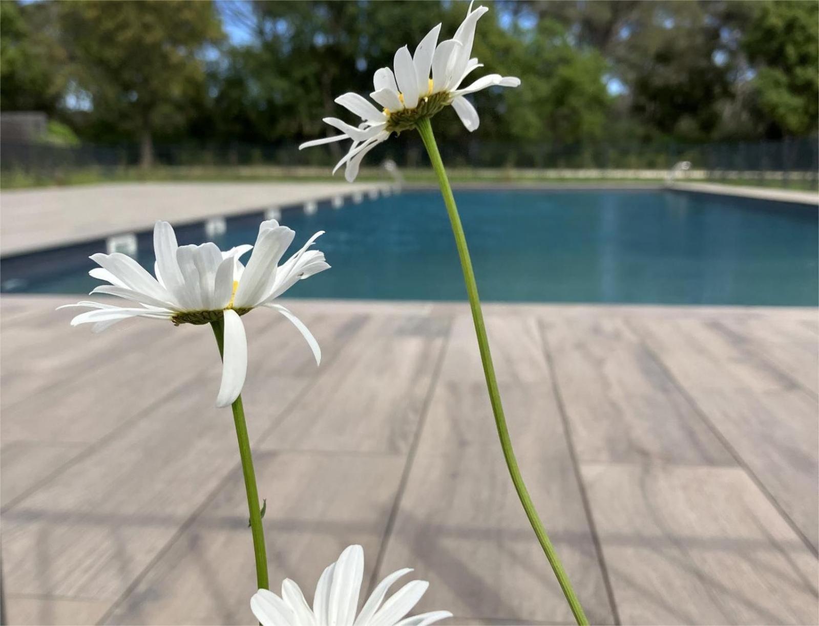 Апартаменти Rez De Jardin T3 Recent Et Calme Au Nouvelles Terres A La Londe Les Maures Екстер'єр фото